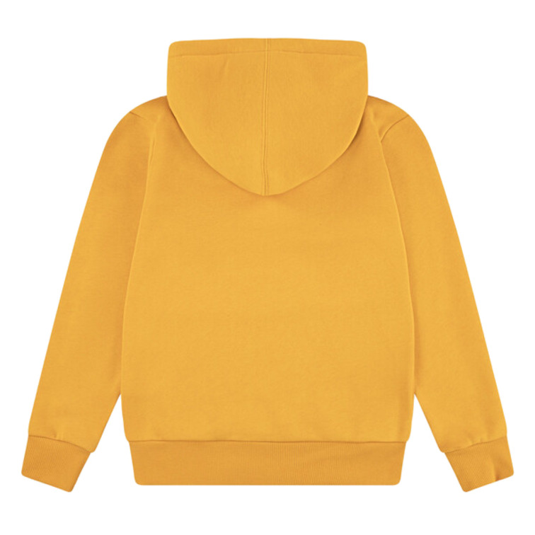 SUDADERA NIÑO  LEVI'S JUNIOR LVB-BATWING SCREENPRINT HOODIE