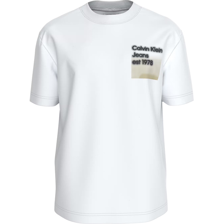 CAMISETA HOMBRE CALVIN KLEIN ESTAMPADO EN PECHO FIT HOLGADO