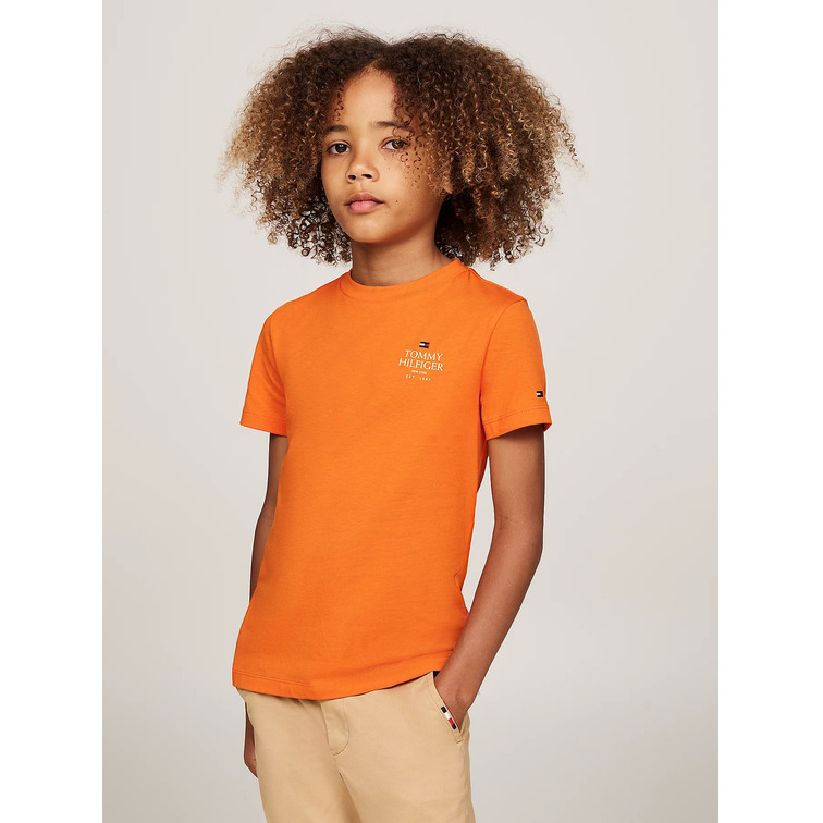 CAMISETA NIÑO  TH TH LOGO PUFF PRINT REG TEE SS