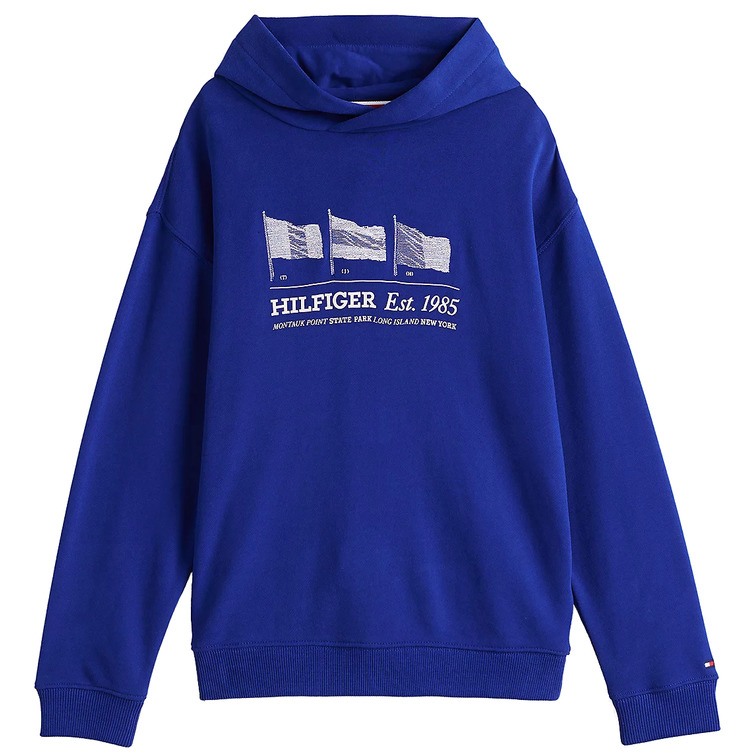 SUDADERA CON CAPUCHA NIÑO TOMMY HILFIGER GRÁFICO BANDERA