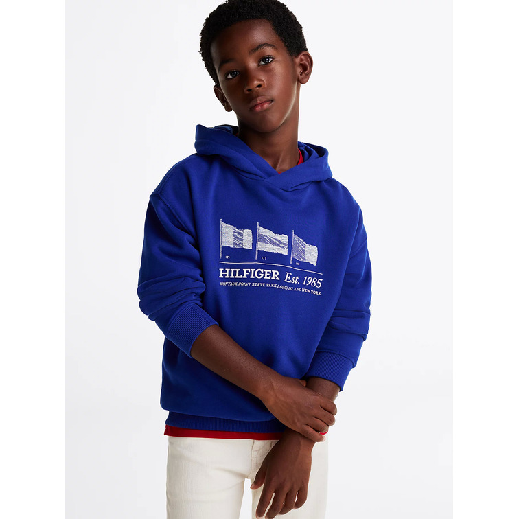 SUDADERA CON CAPUCHA NIÑO TOMMY HILFIGER GRÁFICO BANDERA