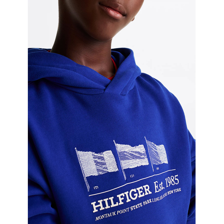 SUDADERA CON CAPUCHA NIÑO TOMMY HILFIGER GRÁFICO BANDERA