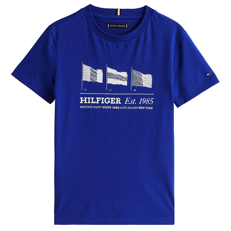 CAMISETA NIÑO TOMMY HILFIGER GRÁFICO BANDERA