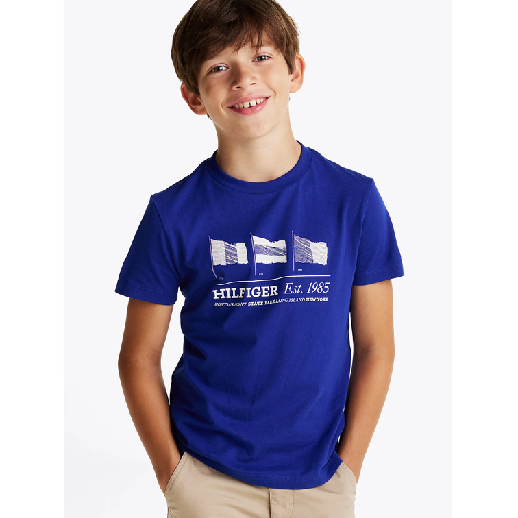 CAMISETA NIÑO TOMMY HILFIGER GRÁFICO BANDERA