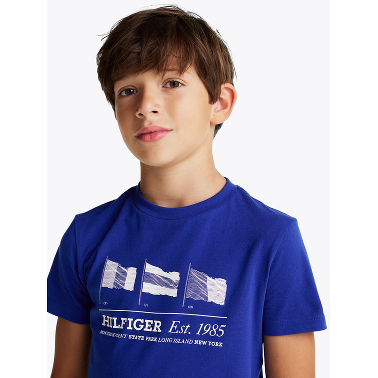 CAMISETA NIÑO TOMMY HILFIGER GRÁFICO BANDERA