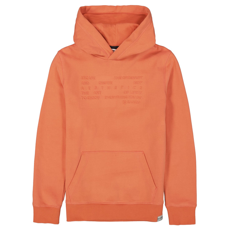 SUDADERA NIÑO  GARCIA W43461_BOYS SWEAT