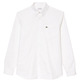 CAMISA OXFORD REGULAR FIT DE ALGODÓN HOMBRE LACOSTE