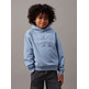 SUDADERA CON CAPUCHA NIÑO CALVIN KLEIN FIT HOLGADO