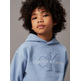 SUDADERA CON CAPUCHA NIÑO CALVIN KLEIN FIT HOLGADO