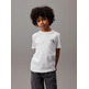 CAMISETA INFANTIL CALVIN KLEIN CON LOGO