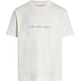 CAMISETA HOMBRE CALVIN KLEIN MONOLOGO CHENILLA