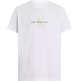 CAMISETA HOMBRE CALVIN KLEIN MONOLOGO DESGASTADO