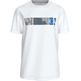 CAMISETA HOMBRE  CALVIN KLEIN CITY LOGO