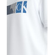 CAMISETA HOMBRE  CALVIN KLEIN CITY LOGO