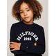 SUDADERA CON LOGO MONOTIPO 1985 NIÑO TOMMY HILFIGER