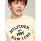 SUDADERA CON LOGO MONOTIPO ATERCIOPELADO NIÑO TOMMY HILFIGER