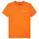 CAMISETA NIÑO  TH TH LOGO PUFF PRINT REG TEE SS