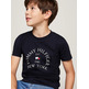 CAMISETA NIÑO TOMMY HILFIGER LOGO ESTAMPADO