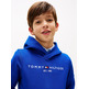 SUDADERA   TOMMY HILFIGER U ESSENTIAL HOODIE