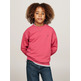 SUDADERA INFANTIL DE CUELLO REDONDO CON LOGO BORDADO TOMMY HILFIGER