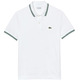 POLO HOMBRE  LACOSTE CHEMISE COL BORD-COTES MANCHES