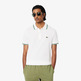 POLO HOMBRE  LACOSTE CHEMISE COL BORD-COTES MANCHES