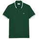 POLO HOMBRE  LACOSTE CHEMISE COL BORD-COTES MANCHES