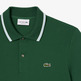 POLO HOMBRE  LACOSTE CHEMISE COL BORD-COTES MANCHES