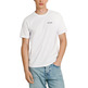 CAMISETA ESPALDA ESTAMPADA FIT REGULAR HOMBRE PEPE JEANS