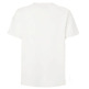 CAMISETA HOMBRE  PEPE JEANS ARSHAM