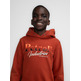 SUDADERA NIÑO  PETROL BOYS SWEATER HOODED PRINT