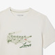 CAMISETA HOMBRE  LACOSTE TEE-SHIRT